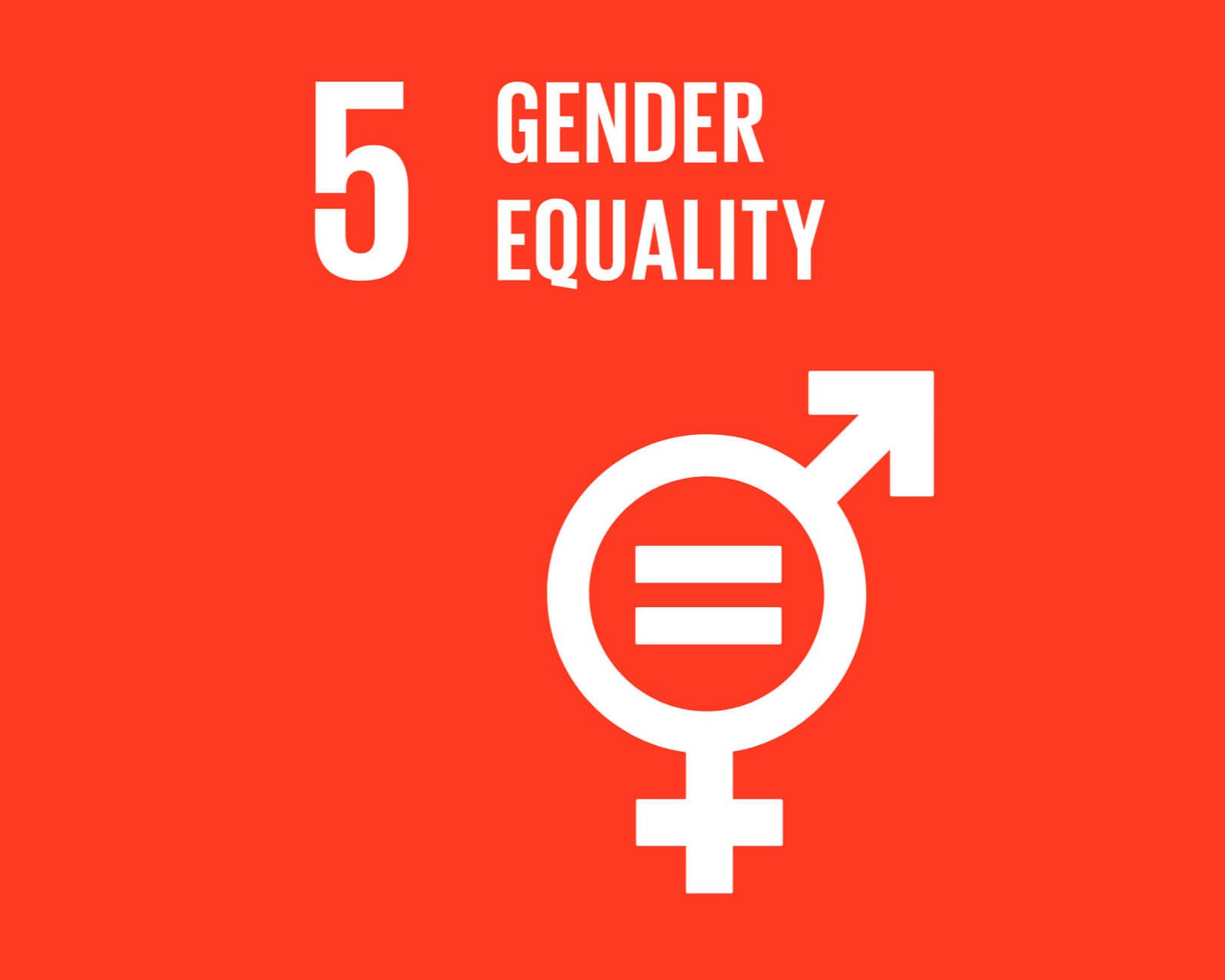 EBEPEXPRESS turkiye E-ticaret Sabit Fiyatlı Kargolama